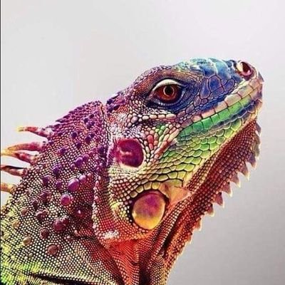 Profile Picture of AndyLux (@AndyLux12) on Twitter