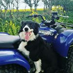 Profile Picture of james Trewhitt (@j.trewhitt53) on Instagram