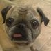 Profile Picture of Kathy Brown Timberman (@kathy.timberman) on Facebook