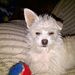 Profile Picture of Janet Duscher (@dusjon46) on Pinterest