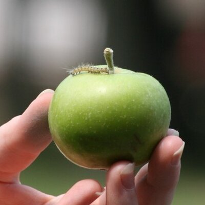 Profile Picture of John Hackathorn (@jhack1996) on Twitter