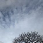 James Barlow πΆ - Instagram Profile Picture of James Barlow πΆ (@james__barlow04) on Instagram