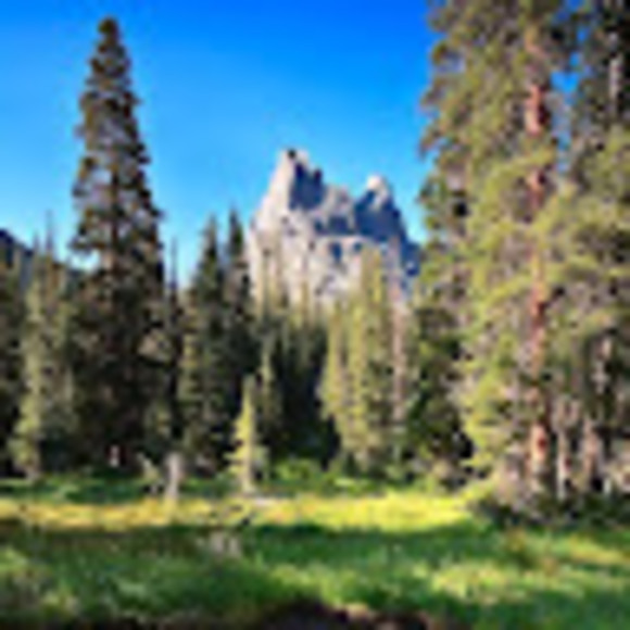 Profile Picture of Brian Fraser (@brianfraser792) on Poshmark