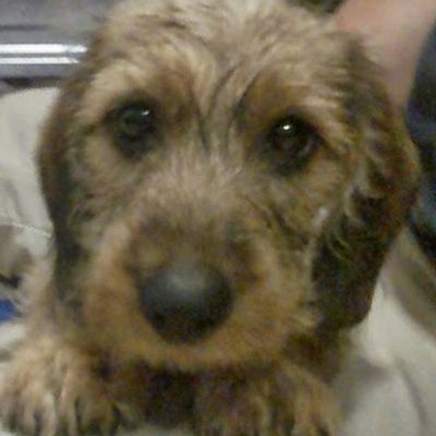 Profile Picture of Alex Sender (@alexiassender) on Twitter