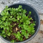 Lucy Hache - Facebook Profile Picture of Lucy Hache (@Lucy-Hache) on Facebook