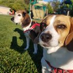 Profile Picture of Christa A Wendling (@christawendling) on Instagram