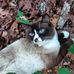 Profile Picture of James Shelnutt (@james.shelnutt.144) on Facebook
