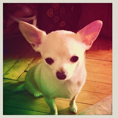 Profile Picture of Andrew Weed (@Weed_Andrew) on Twitter