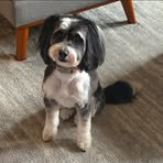 Profile Picture of Scott Klein (@Scott-Klein) on Facebook