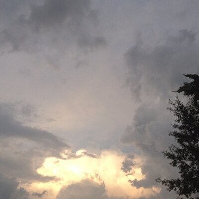 Profile Picture of Dillon Cline (@DillonCline9298) on Twitter