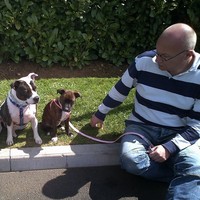 Profile Picture of Ian Beales (@ian-beales) on Quora