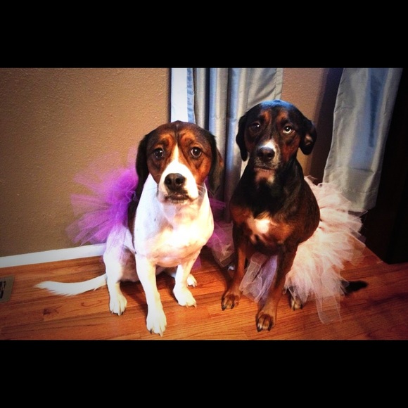 Profile Picture of Jesse Geisinger (@jgeisi11) on Poshmark