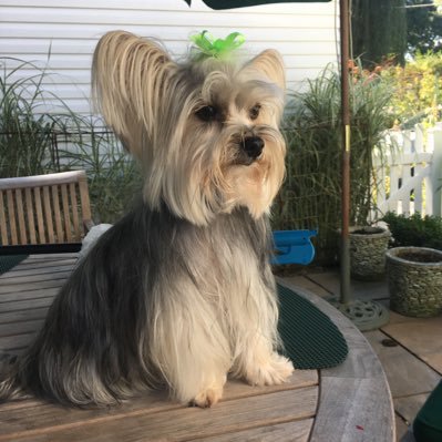 Profile Picture of Wendell Smith FRSA (@wendell543210) on Twitter