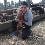 Profile Picture of Leo Salas Luna (@leo_salas_luna) on Instagram