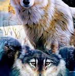 Profile Picture of Kevin John Hussell (@kevinjohn.hussell.5) on Facebook