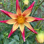 Profile Picture of Terrie Wright (@terriewright) on Instagram