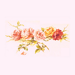 Profile Picture of joshua roland (@rolandflowers) on Flickr