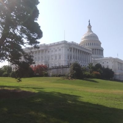 Profile Picture of Seth Hales (@seth_hales) on Twitter