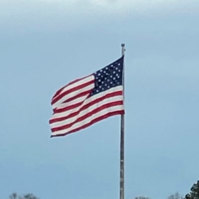 Profile Picture of Wm Howard McLaurin (@WmMclaurin) on Twitter