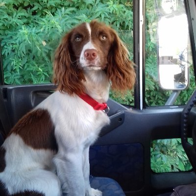 Profile Picture of Aidan Mooney (@schilojin) on Twitter