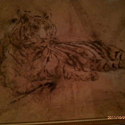 Profile Picture of Dwight M. Foster (@unique572) on Twitter