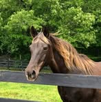 Amy Rabold - Facebook Profile Picture of Amy Rabold (@amy.rabold.37) on Facebook