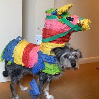 Profile Picture of Joe Andreini (@josephandreini) on Facebook