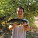 Profile Picture of Chai (@chaisaetern) on Instagram