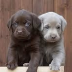 Profile Picture of Christopher Faudie (@christopher.faudie) on Facebook