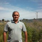 Profile Picture of Daniel Manino (@maninodaniel) on Instagram