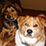 Profile Picture of Pete & Sarah Bubbers (@pete & sarah bubbers) on Flickr