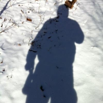 Profile Picture of David Todt (@davetodt) on Twitter