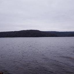 Profile Picture of Charise Jones (@sagjones) on Twitter