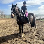 Profile Picture of Isabella Glenn (@Isabella-Glenn) on Facebook