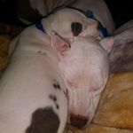 Profile Picture of Makayla Fleming (@makayla_fleming_2020) on Instagram