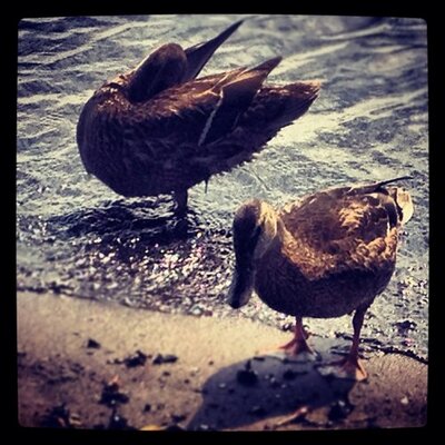 Profile Picture of Beth Clausen (@ClausenBeth) on Twitter