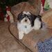 Profile Picture of Beverly Hall (@ruddog) on Pinterest