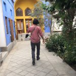 Profile Picture of Arash Golestani (@arash.golestani) on Instagram