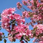Profile Picture of Michael Winther (@michael.winther) on Instagram