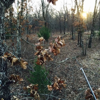 Profile Picture of Mike Vanscoy (@MikeVanscoy) on Twitter