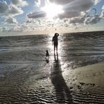 Profile Picture of Sunny Wolf (@sunnylein82) on Instagram