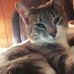 Profile Picture of Frances Clayton (@frances.clayton.733) on Facebook