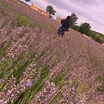 Profile Picture of xxcross (@xiaoxia.gao) on Instagram