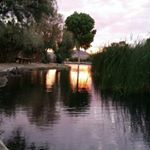 Profile Picture of Joshua tree lake (@joshuatreelake) on Instagram