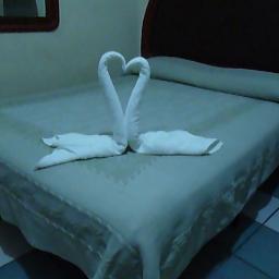 Profile Picture of Alberto Rangel Licea (@m5539_delfin) on Twitter