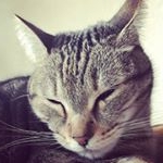 Profile Picture of Carson Sparks (@carsonrsparks) on Instagram