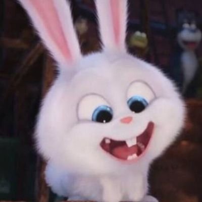 Profile Picture of Yunfei Li (@yunfeili11) on Twitter