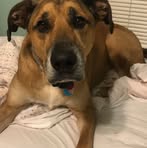 Profile Picture of Richard Ansel (@richard.ansel.17) on Facebook