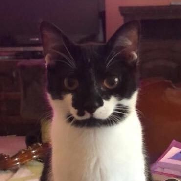 Jack😳 - Tiktok Profile Picture of Jack😳 (@@thepopham) on Tiktok