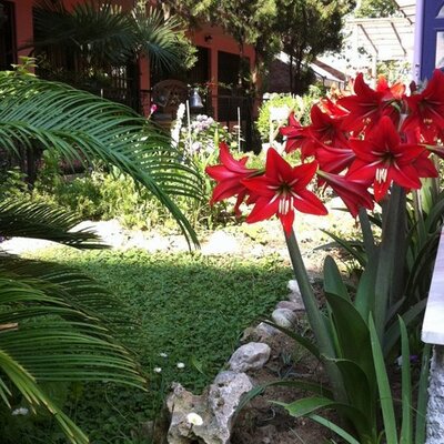 Profile Picture of Monika Ludwig (@Monika_S_Ludwig) on Twitter